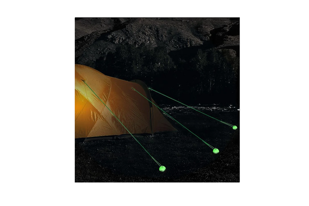 Lot de huit cache-tiges de protection ProPlus 361760 pour tubes fluorescents de 55 mm