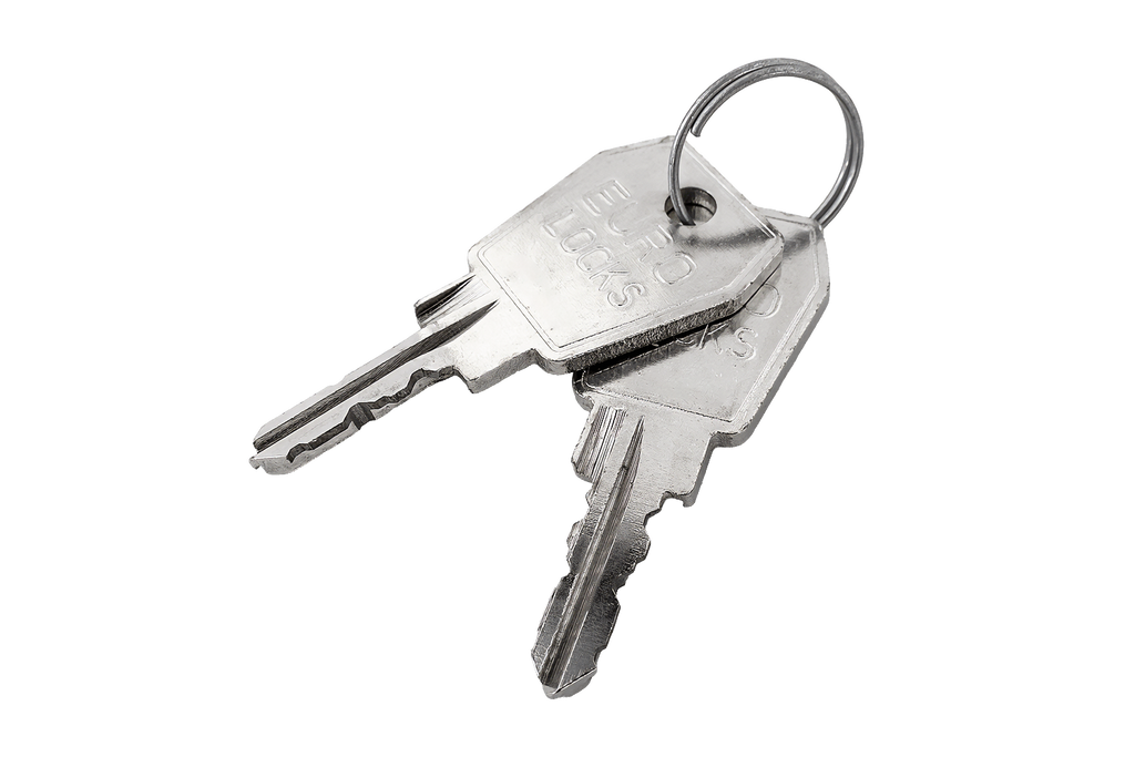 Carver sleutel 25038 (2 stuks)