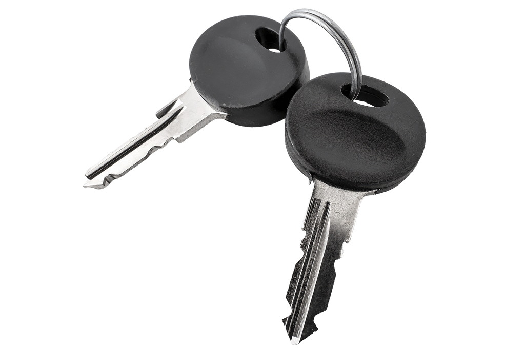 Clé Traxer 2165 (2 pièces)
