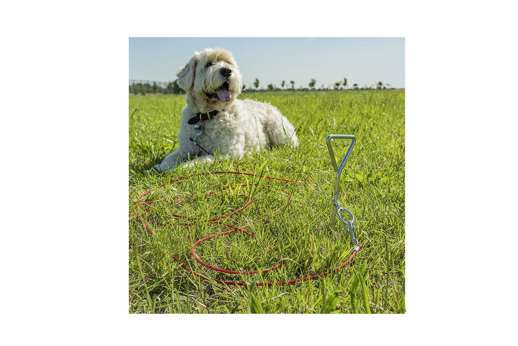 Poteau d'attache pour chien ProPlus 361857 avec câble en acier de 4,5 m