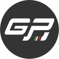 Support pour skis et snowboards pour plateforme et coffre GP 23.GP1000